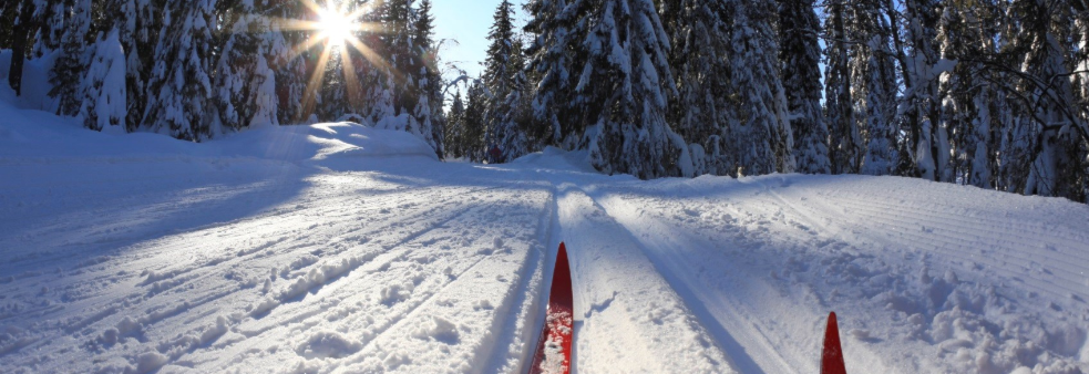 Ski på Topp Narvik 2020